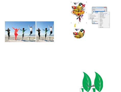 handleiding corel draw graphics suite  pagina  van  nederlands