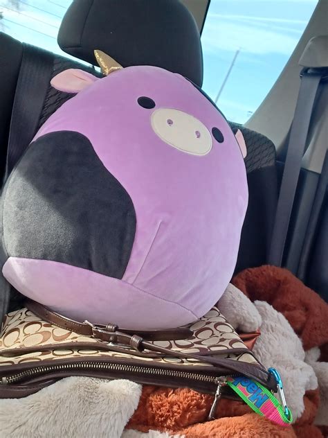 After what felt like forever my wife finally got Alexie 😫💕 : r/squishmallow