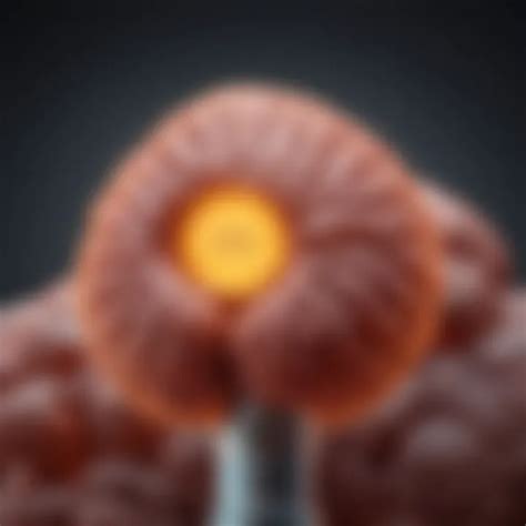 Understanding Normal Ammonia Levels for Liver Health