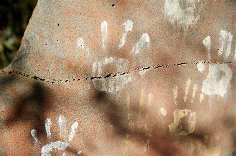 progress global gardens  peace