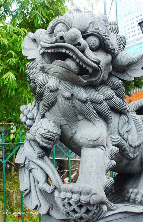 Shishi by Nikki Who / 500px