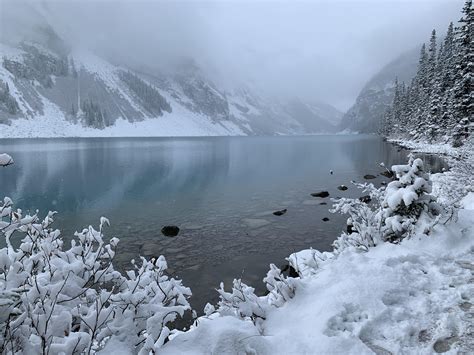 Fresh snow at Lake Louise in Banff National Park, Alberta, Canada : r ...