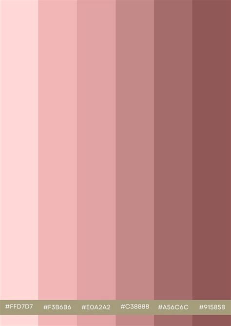 Tons De Rosa Pastel - Tons De Rosa Pastel