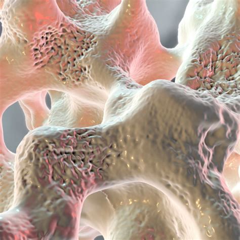 calcium  vitable australia