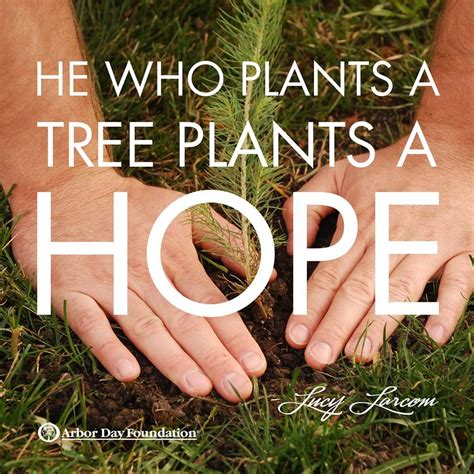 Tree Planting & Care at arborday.org | Trees to plant, Arbor day ...