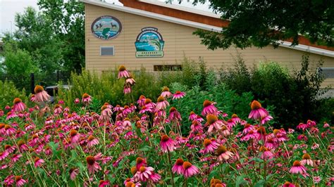 The Nature Centers of Arkansas | Arkansas.com