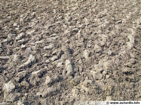 faut il retourner le sol