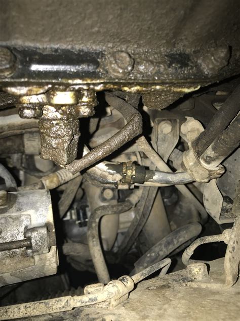 Is Annixpress's Leak Bigger Than You Think? Insiders Spill The Tea Image 11