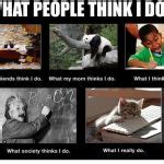 What people think I do Meme Generator - Imgflip