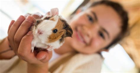 The Best Small Pets for Kids