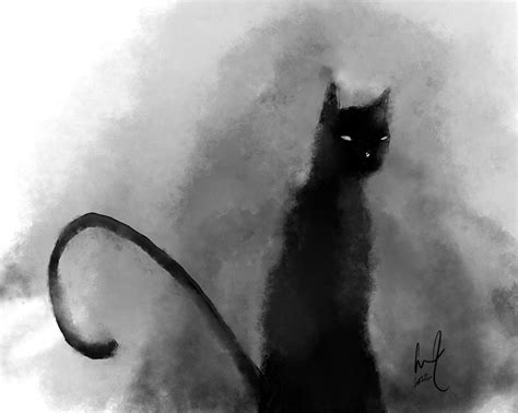 Shadow Cat Drawing at Joseph Galvan blog