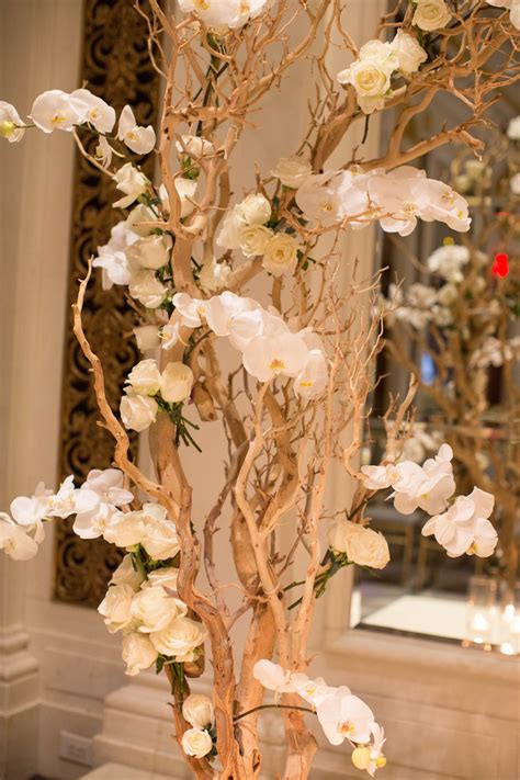 Medical Profile of Otolaryngology Specialist Mark Weinberger 13