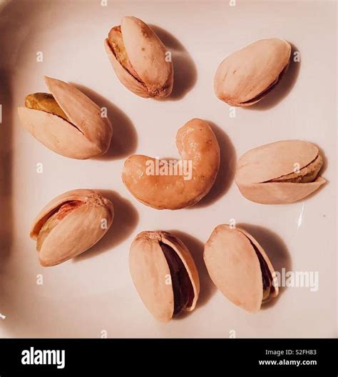 odd   stock photo alamy