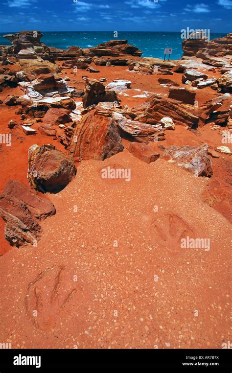 Dinosaur footprints broome hi-res stock photography and images - Alamy