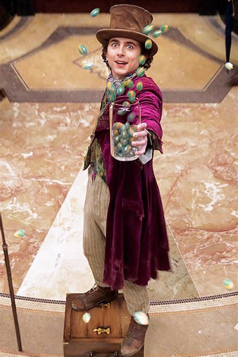 Pin by Imka Steegh on Willy wonca | Timothee chalamet, Willy wonka ...