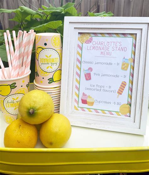 Lemonade Stand Bundle, Lemonade Stand Sign, Lemonade Stand Menu, Kids