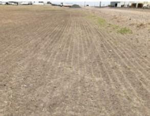 Using Emergency Tillage to Control Wind Erosion | Farms.com