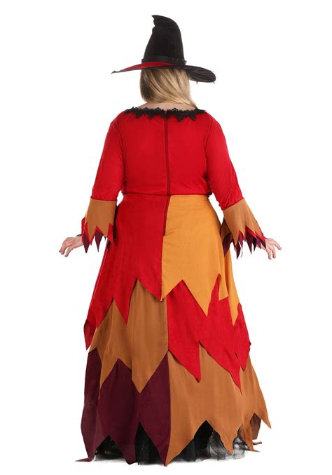 Plus Size Autumn Harvest Witch Women's Costume Dress | Plus Size Witch ...