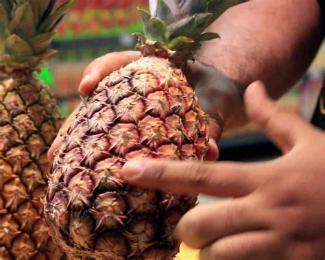 Como Saber Se O Abacaxi É Doce - O Guia Definitivo! Como Escolher Abacaxi 🍍 Dicas Infalíveis