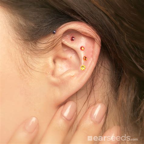 gold ear seeds  stress chart ear seeds products