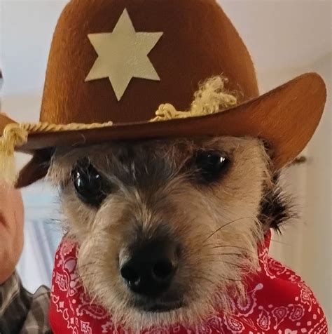 Remembering the Life and Accomplishments of Bennie Smith 4