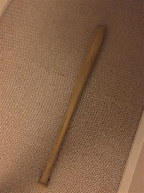 Cosplay update! I have acquired a bat! : r/KipoAndTheAgeOfWB