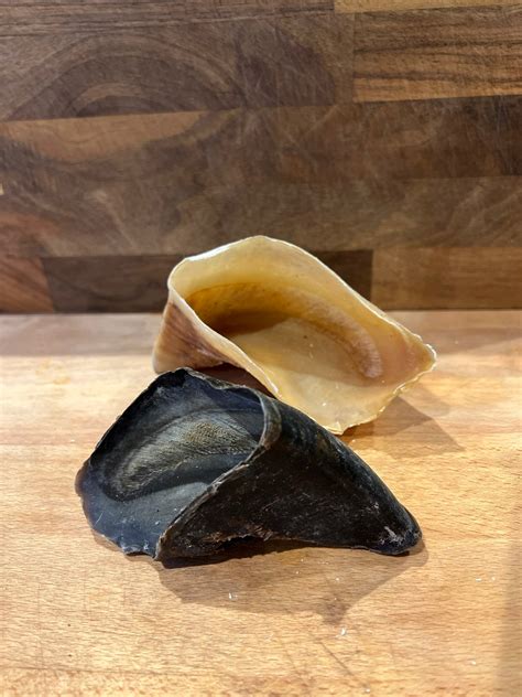 Anco Cow Hooves – Nature's Pets Ltd