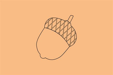 Acorn Illustration Outline Graphic by Botjen · Creative Fabrica