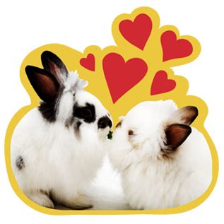 naughty love