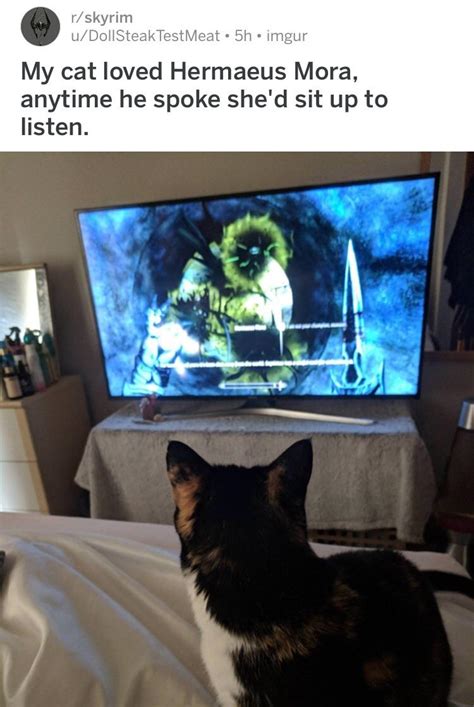 Khajiit follower in the cult of Hermaeus Mora proves herself a loyal ...