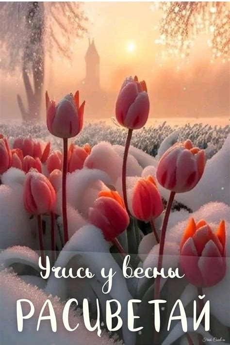 Картинки с весенними цитатами и афоризмами про весну