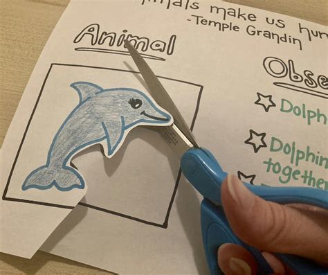 How To Draw A Dolphin Hub