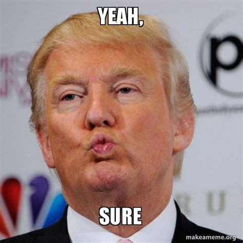 Sure Meme