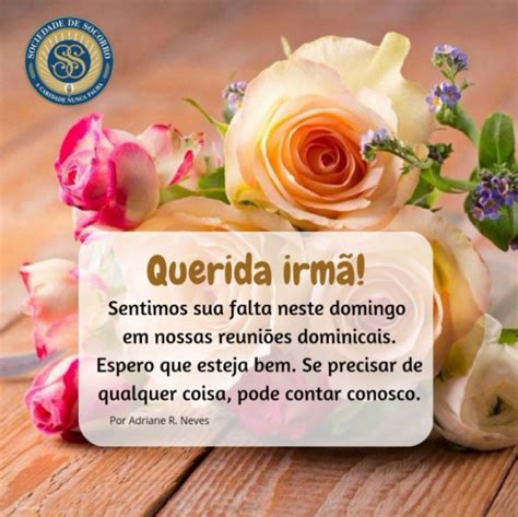 Querida Irmã Não Seja A Vilã - Querida Irma - Bouquet of Flowers Illustration