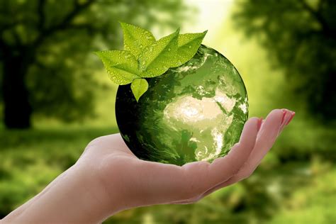 ways  protect  environment