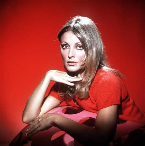 Download Sharon Tate On Red Wallpaper | Wallpapers.com