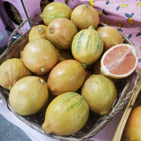 pink lemons tree 1