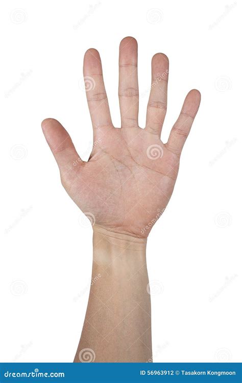 fingers sign  hand isolated  white stock photography