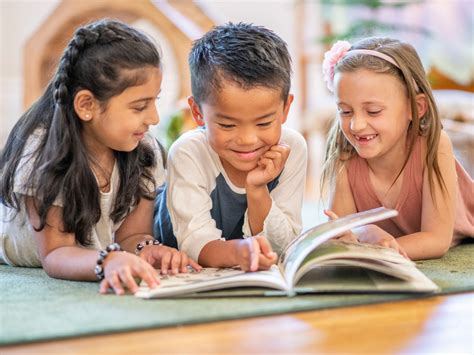 elementary reading grades   night zookeeper