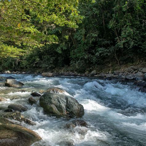Presentación: Christopher Paniagua Pág. 7 • Prólogo: Frank Moya Pons