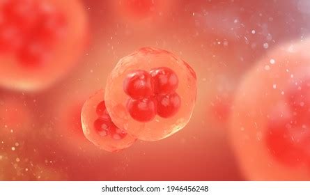 stem cells cells  microscope cellular stock illustration