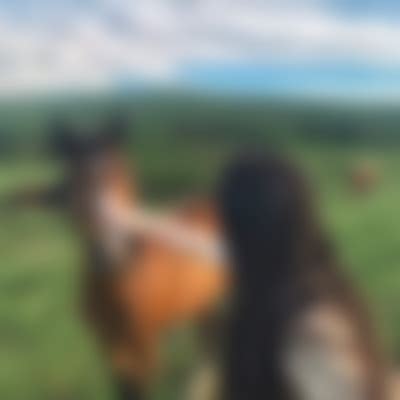 Basik Basik | ВКонтакте