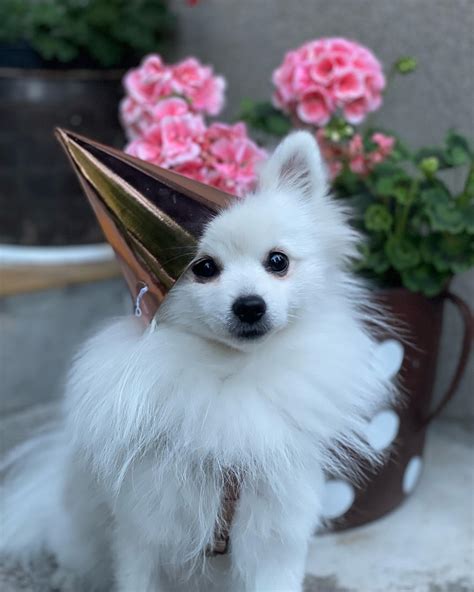 233 best u/alissa_foxy images on Pholder | U Alissa Foxy, Landing Strip