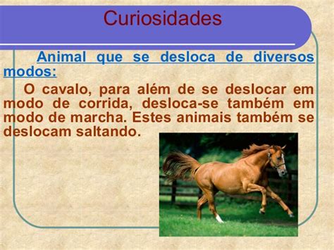 Como O Cavalo Se Locomove - Como o Cavalo se Move? Sistema Locomotor do Cavalo | Mundo Ecologia