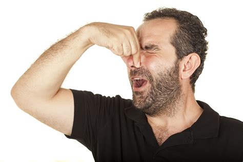 SCIENCE FACT: Why Do People Sneeze? Everything You Need to Know By
