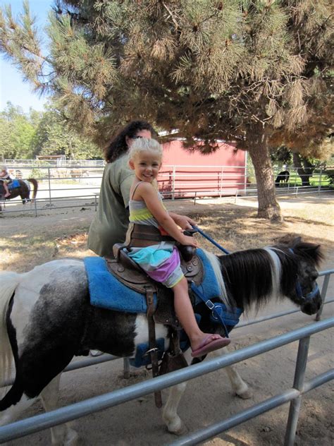 the bunker family: Bunker Branches 2010