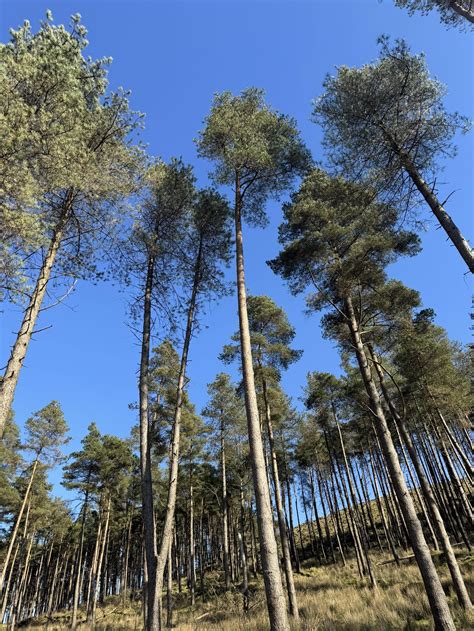 Nude Jewels - Nude Jewels added a new photo.