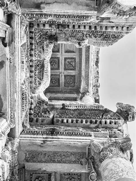 Tawnee Stone Photos, Download The BEST Free Tawnee Stone Stock Photos