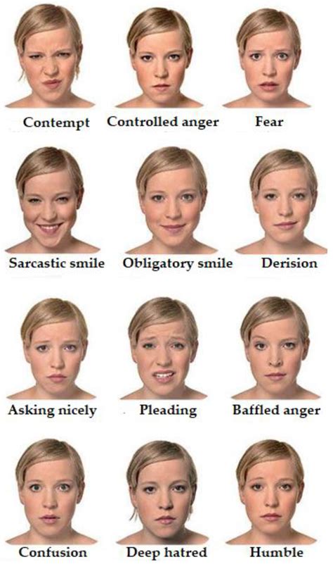English Facial Features