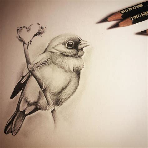 60+ Best Bird Drawing Idea Tutorials - How To Draw Bird? | HARUNMUDAK